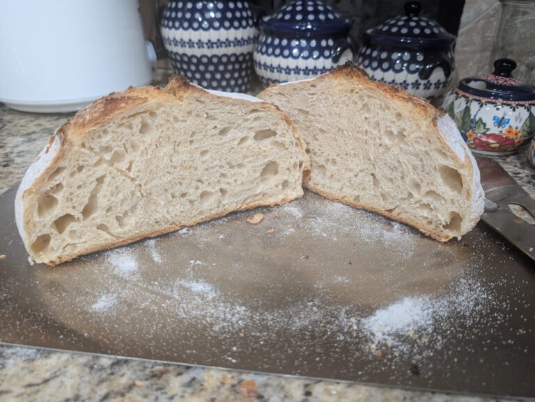 Sliced homemade sourdough bread loaf showing open crumb and crackly golden crust on a kitchen counter